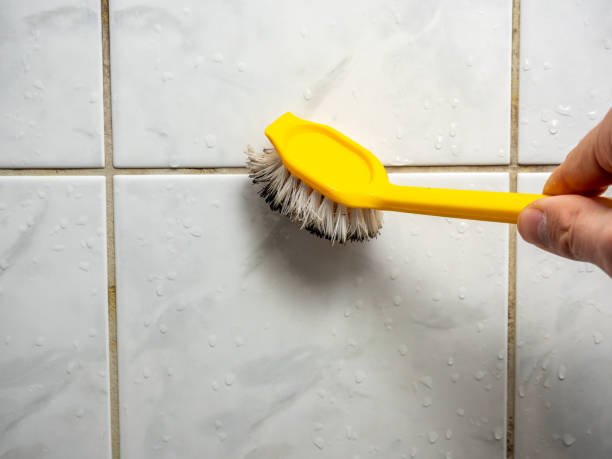 Trusted La Homa, TX Mold Removal Experts