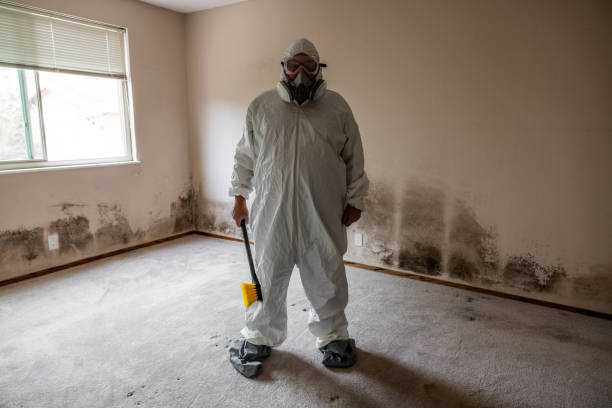 Best Emergency Mold Removal  in La Homa, TX